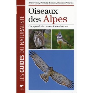 oiseaux des Alpes
