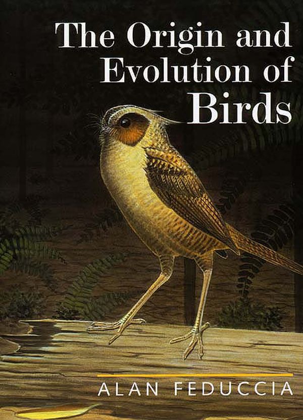 The origin and evolution of birds