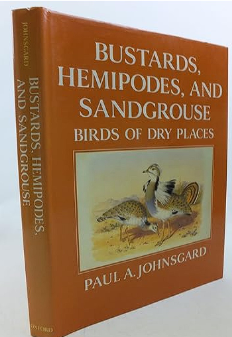 Bustards, hemipodes, and sandgrouse - birds of dry places