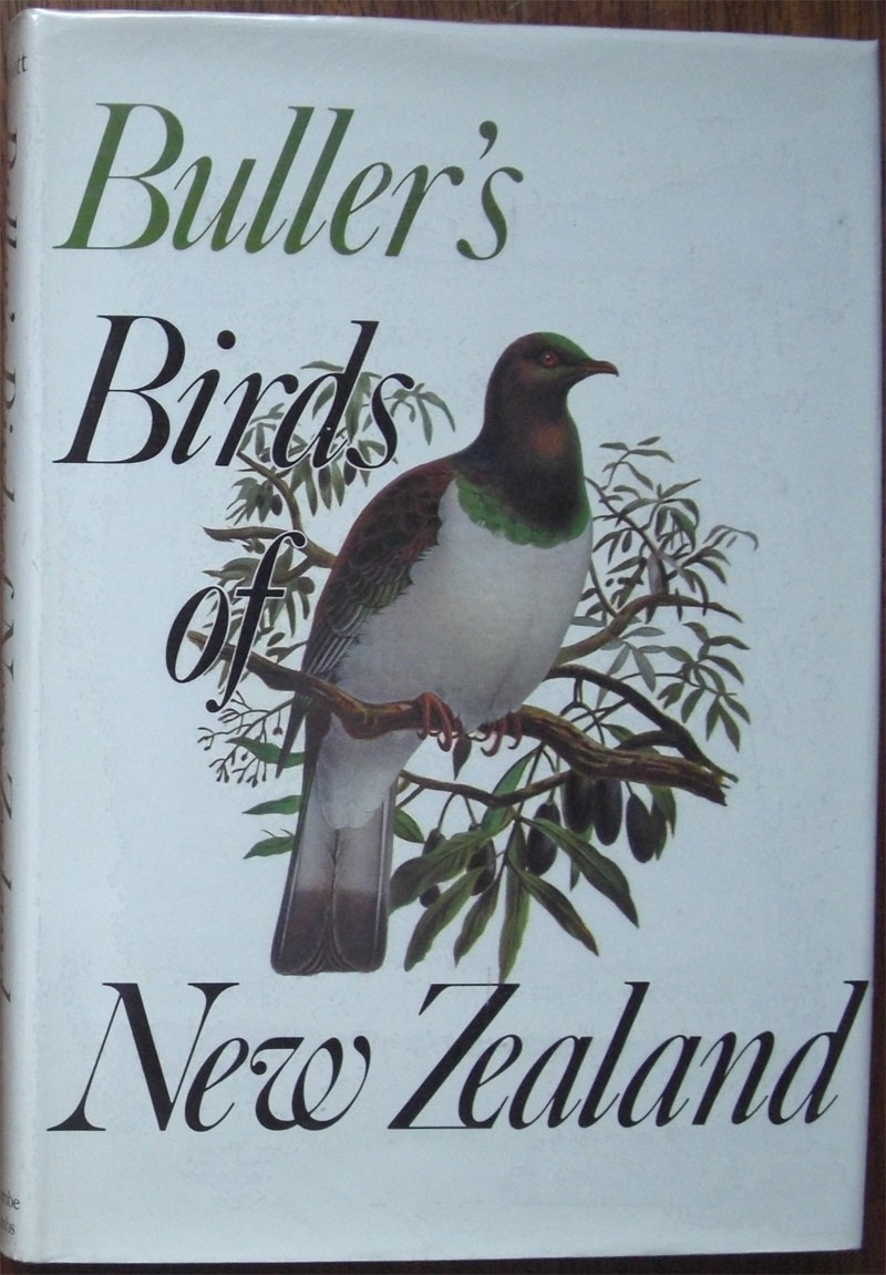 Bullers birds of new zealand