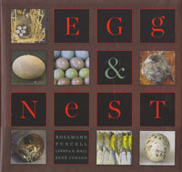 eggs & nest