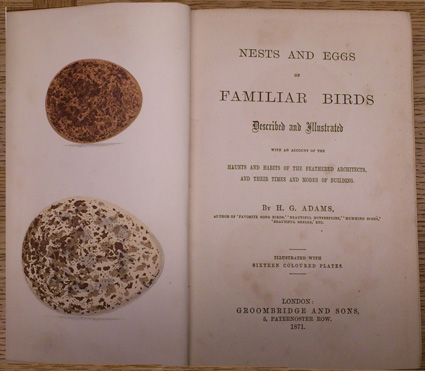 Nests and Eggs of familiar Birds