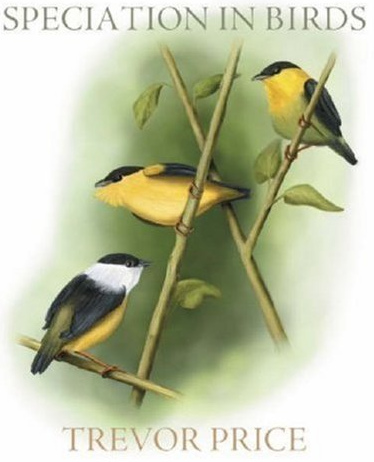 Speciation in Birds